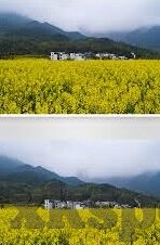 热门文章